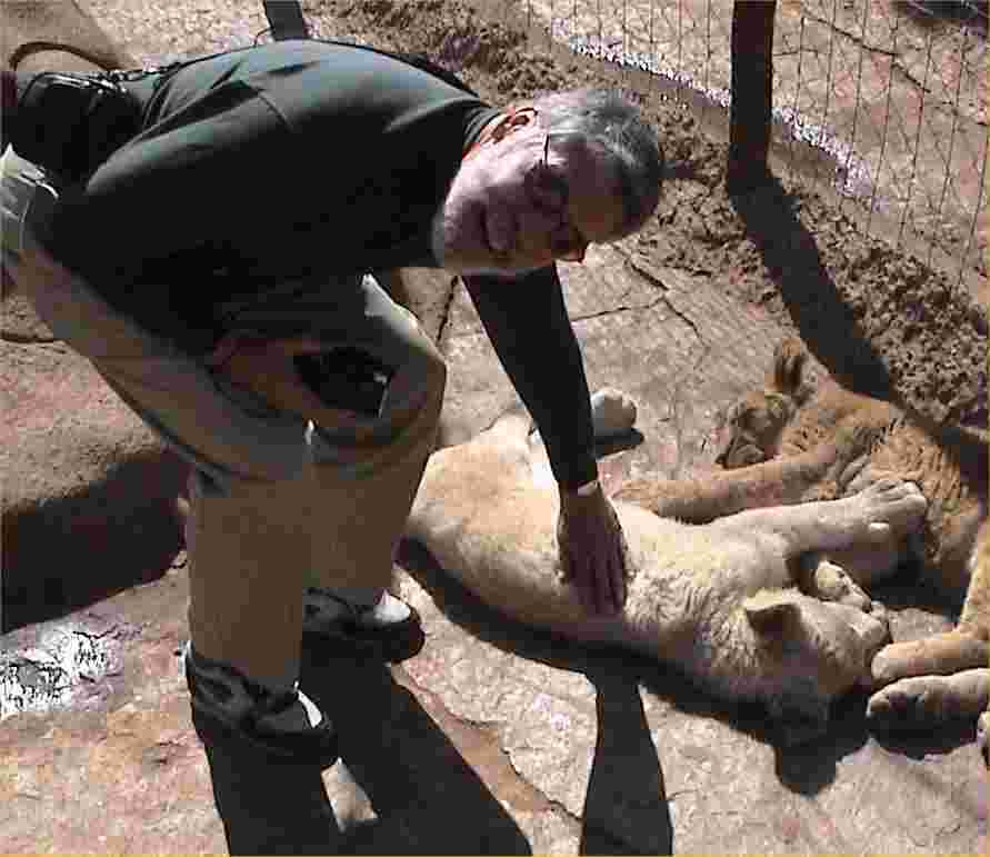 JJ meets and greets the lion cubs.