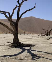 Dried-up lake bed