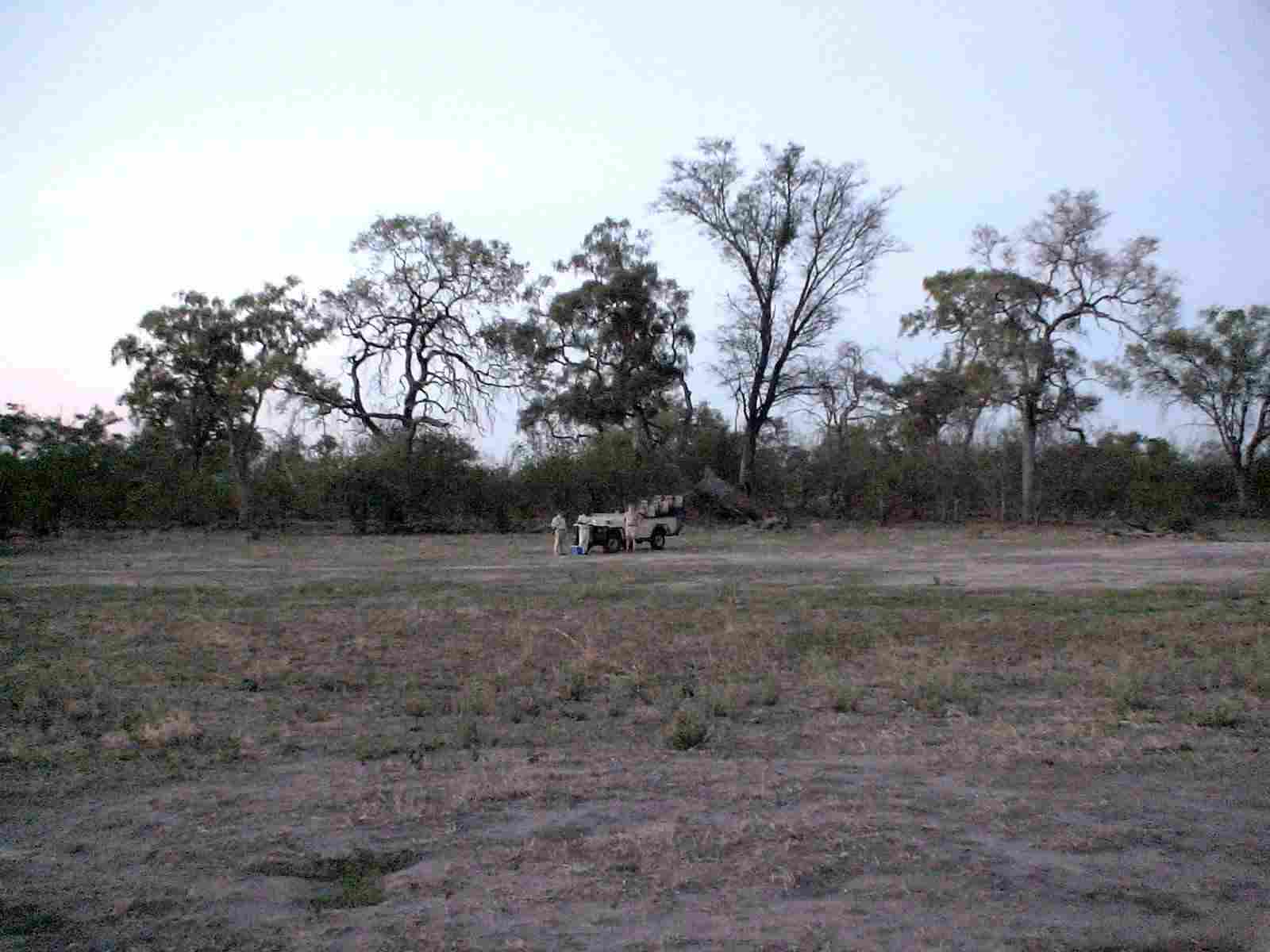 Scenery in Botswana