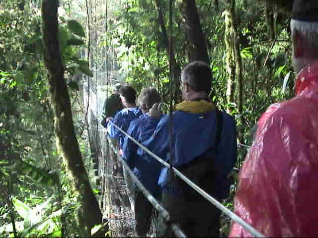 One of the six suspension bridges encountered during the Forest Sky Walk.  Photo by FG.